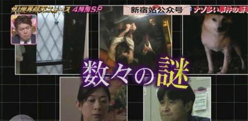 杭州纵火案最新爆料,细节披露，真相渐明  第2张